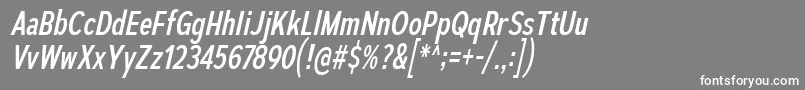 AutoradiographicRgIt Font – White Fonts on Gray Background