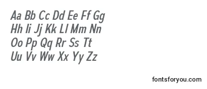 Review of the AutoradiographicRgIt Font