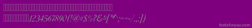 フォントCaslonswashcItalic – 紫の背景に灰色の文字