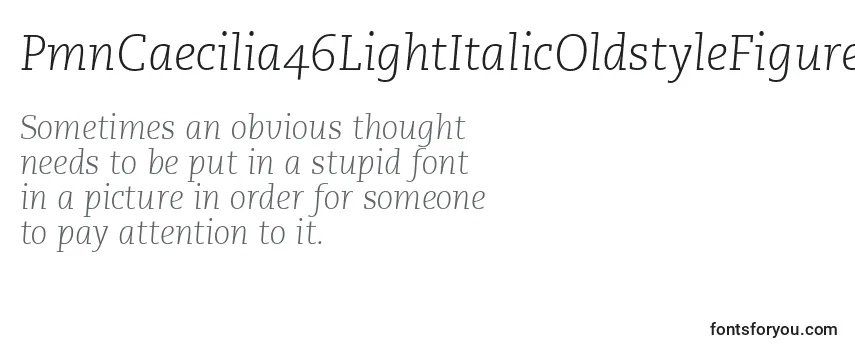 Review of the PmnCaecilia46LightItalicOldstyleFigures Font