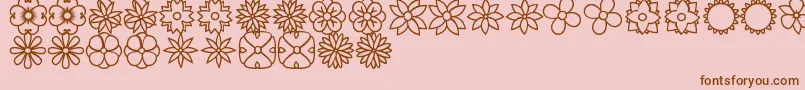 FlowersDotsBatsTfb Font – Brown Fonts on Pink Background