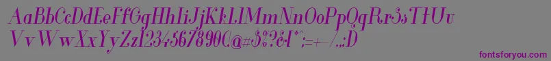 フォントGlamorMediumcondenseditali – 紫色のフォント、灰色の背景