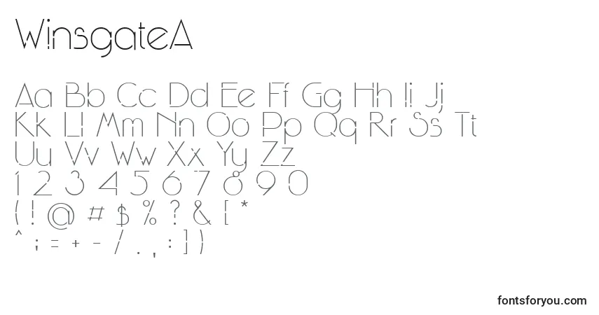 Шрифт WinsgateA – алфавит, цифры, специальные символы