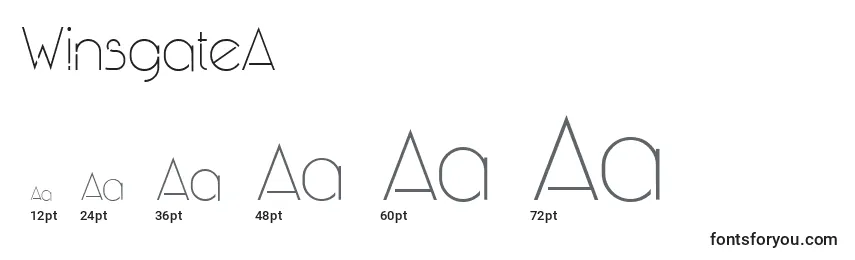 WinsgateA Font Sizes