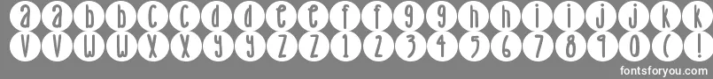 DjbLemonHeadDots-Schriftart – Weiße Schriften auf grauem Hintergrund