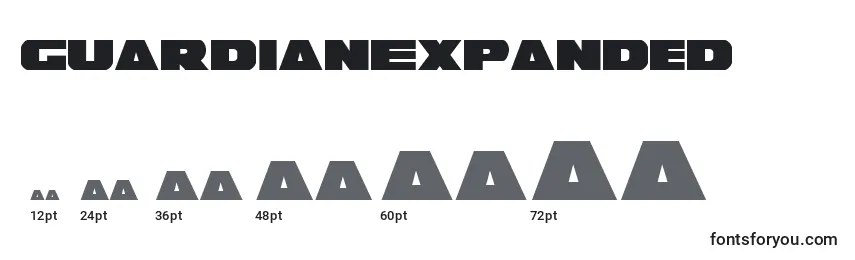 GuardianExpanded Font Sizes
