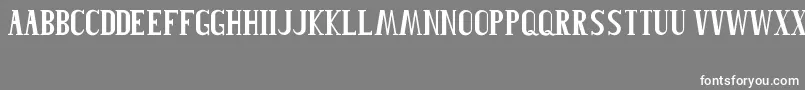 Roblefont-Schriftart – Weiße Schriften auf grauem Hintergrund