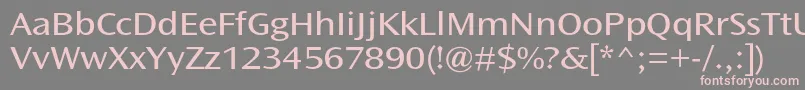 OceansansstdBookext Font – Pink Fonts on Gray Background