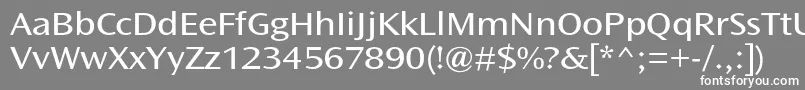 OceansansstdBookext Font – White Fonts on Gray Background