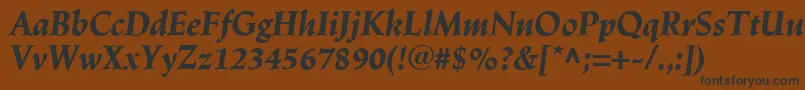 LinotypeTrajanusBlackitalic Font – Black Fonts on Brown Background