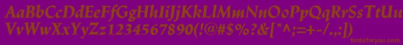 LinotypeTrajanusBlackitalic Font – Brown Fonts on Purple Background