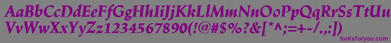 フォントLinotypeTrajanusBlackitalic – 紫色のフォント、灰色の背景