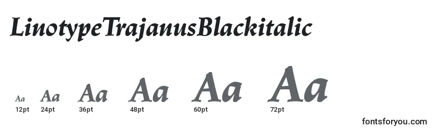LinotypeTrajanusBlackitalic-fontin koot