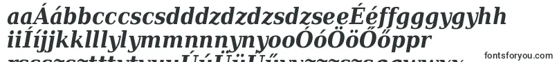 Шрифт Dejavuserifcondensed Bolditalic – венгерские шрифты