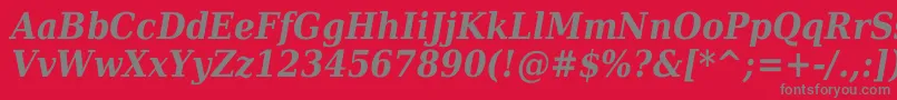 Dejavuserifcondensed Bolditalic Font – Gray Fonts on Red Background