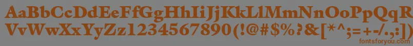 GalliardstdUltra Font – Brown Fonts on Gray Background