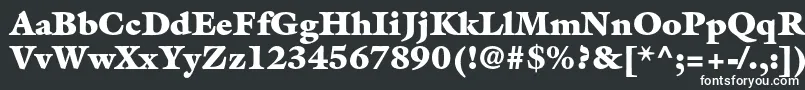 フォントGalliardstdUltra – 黒い背景に白い文字