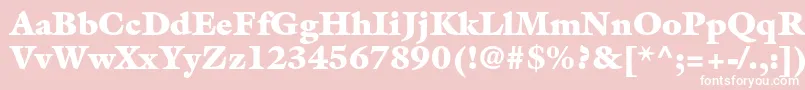 GalliardstdUltra Font – White Fonts on Pink Background