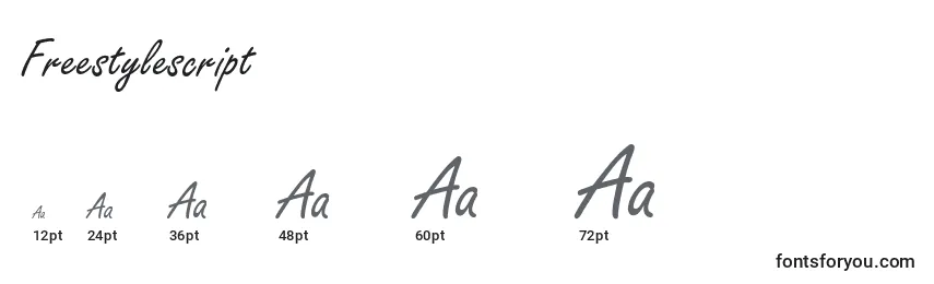Freestylescript Font Sizes