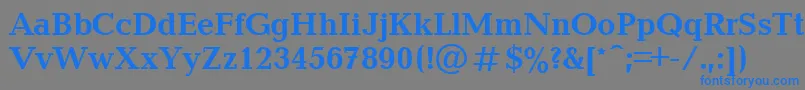 フォントBalticacttBold – 灰色の背景に青い文字