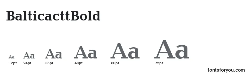 BalticacttBold Font Sizes