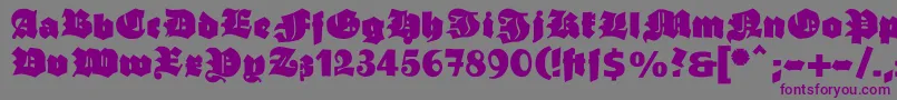 Ganzgrobegotisch Font – Purple Fonts on Gray Background