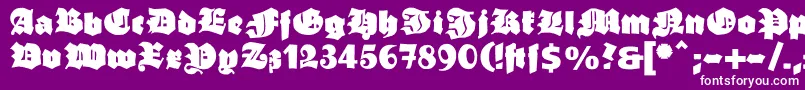 Ganzgrobegotisch Font – White Fonts on Purple Background