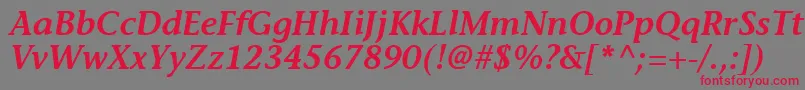 フォントMesouranCasualSsiSemiBoldItalic – 赤い文字の灰色の背景
