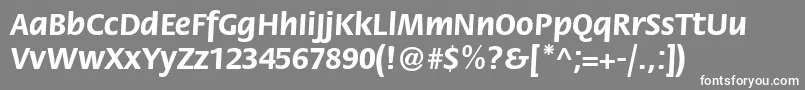 FloraettBold Font – White Fonts on Gray Background