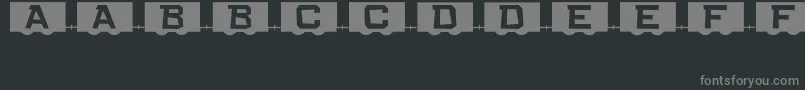 More about RailCarsJl Font RailCarsJl Font – Gray Fonts on Black Background