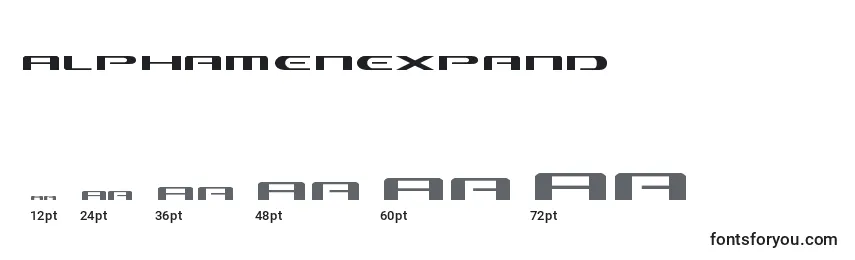 Размеры шрифта Alphamenexpand