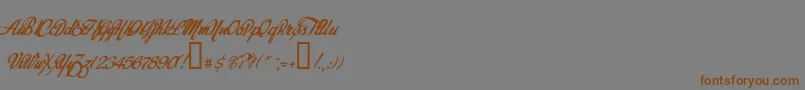 Today Font – Brown Fonts on Gray Background