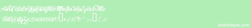 Today Font – White Fonts on Green Background