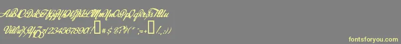 Today-Schriftart – Gelbe Schriften auf grauem Hintergrund