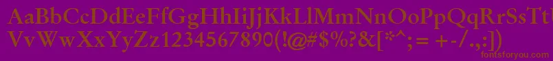 Garr65w Font – Brown Fonts on Purple Background