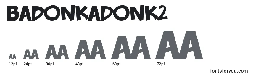 Размеры шрифта BadonkADonk2