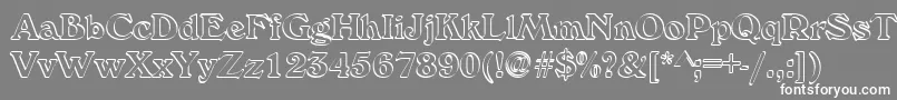 Callistroke Font – White Fonts on Gray Background
