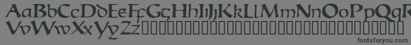 Escudedisplayssk Font – Black Fonts on Gray Background