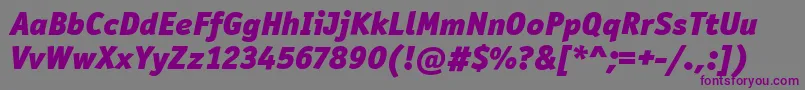 OfficinaSanItcBlackItalic-Schriftart – Violette Schriften auf grauem Hintergrund
