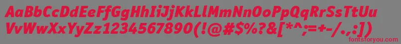 フォントOfficinaSanItcBlackItalic – 赤い文字の灰色の背景