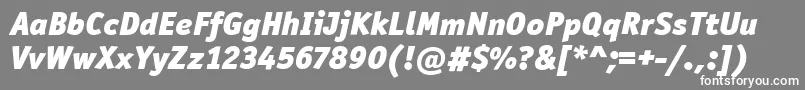 Czcionka OfficinaSanItcBlackItalic – białe czcionki na szarym tle