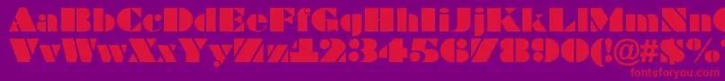ABragga Font – Red Fonts on Purple Background