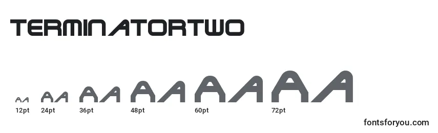 Размеры шрифта TerminatorTwo
