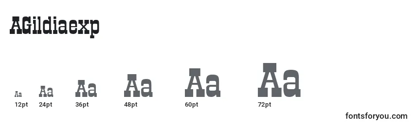 Размеры шрифта AGildiaexp