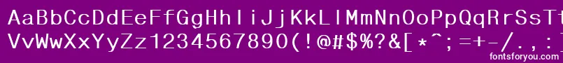 FixhelvdlBold-Schriftart – Weiße Schriften auf violettem Hintergrund