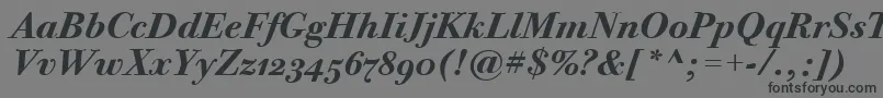 Шрифт BodoniTwelveOsItcTtBoldita – чёрные шрифты на сером фоне