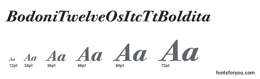 BodoniTwelveOsItcTtBoldita Font Sizes