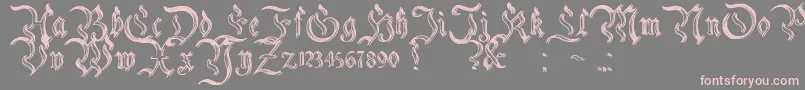 CharterwellNo2-fontti – vaaleanpunaiset fontit harmaalla taustalla