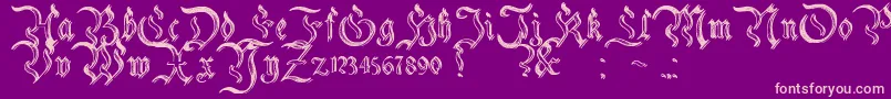 CharterwellNo2-Schriftart – Rosa Schriften auf violettem Hintergrund