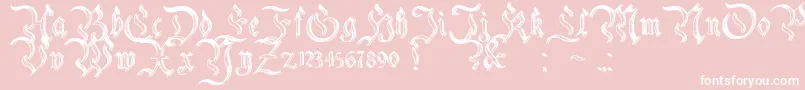 CharterwellNo2-Schriftart – Weiße Schriften auf rosa Hintergrund